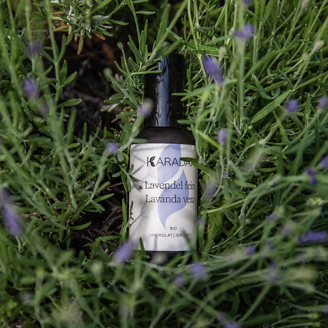 LAVENDEL FEIN HYDROLAT BIO