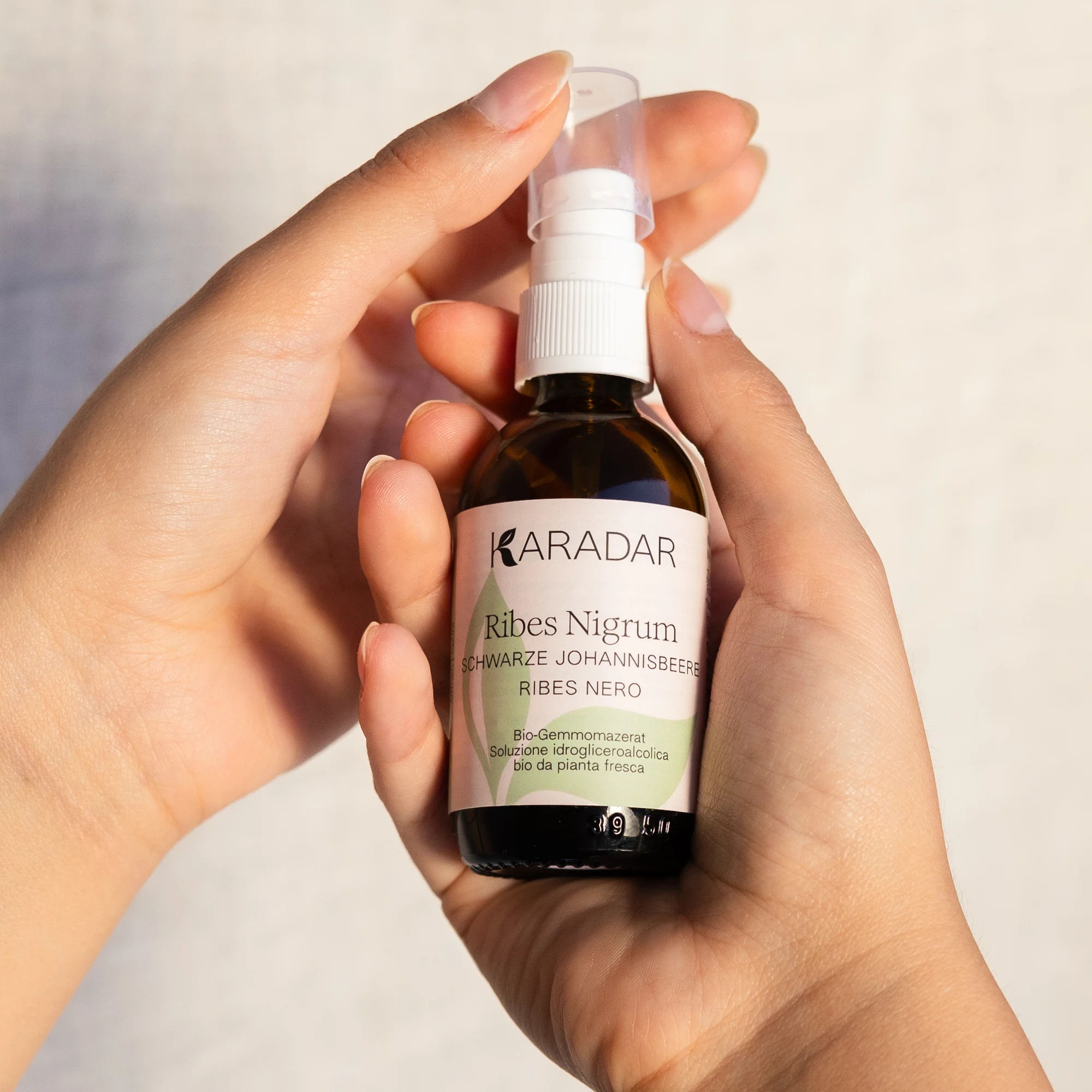 GEMMOMAZERAT SCHWARZE JOHANNISBEERE - RIBES NIGRUM BIO
