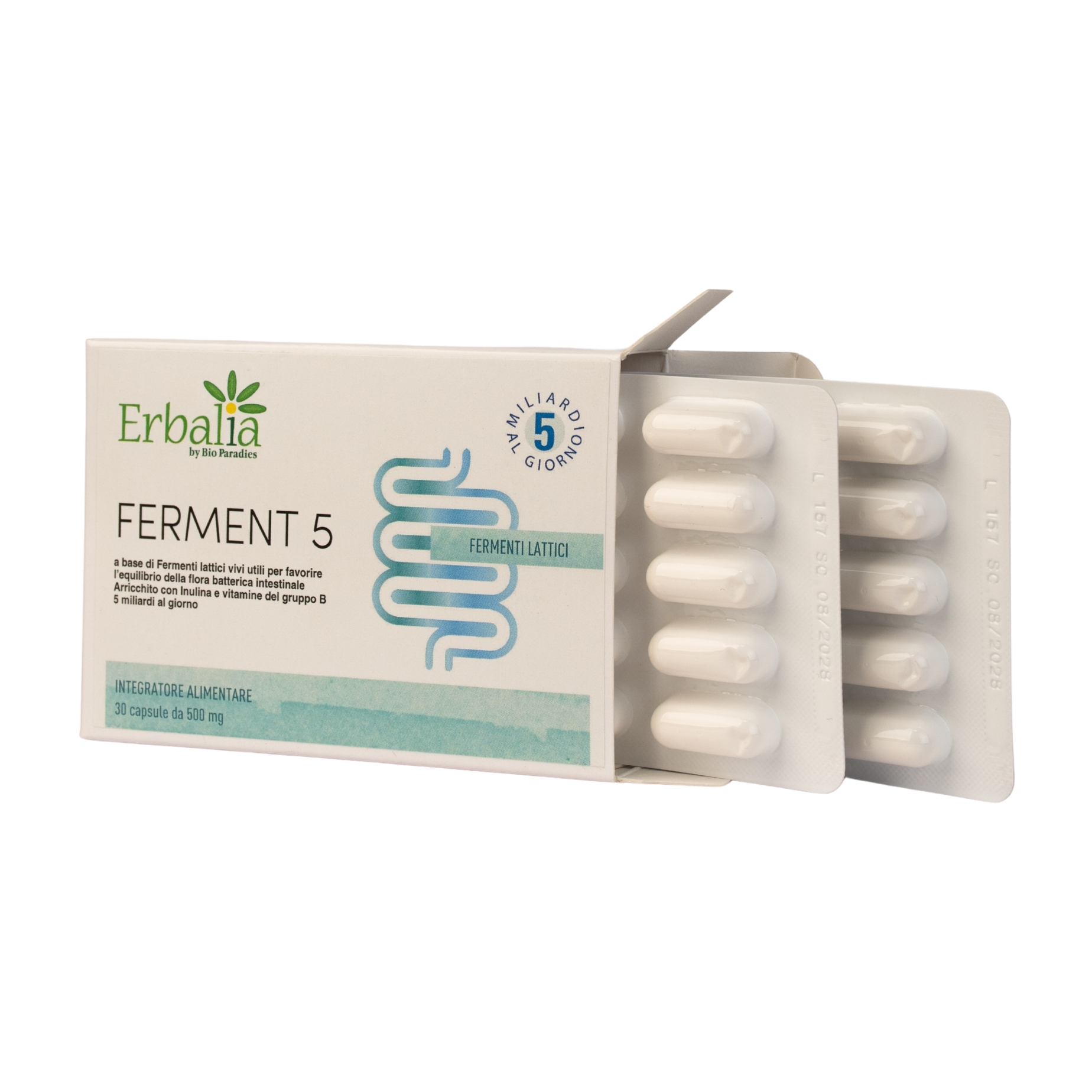 FERMENT 5 – EIN NATÜRLICHER BEITRAG ZUM GLEICHGEWICHT DER DARMFLORA