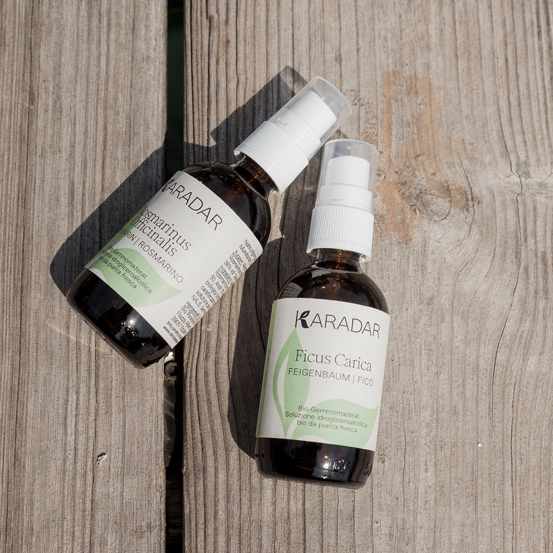 GEMMOMAZERAT FEIGENBAUM - FICUS CARICA BIO