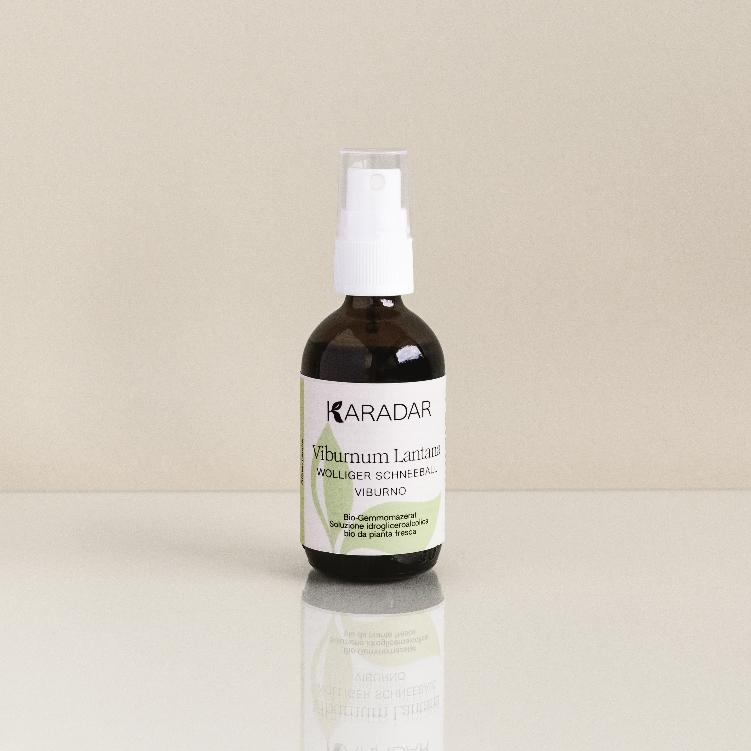 GEMMOMAZERAT WOLLIGER SCHNEEBALL - VIBURNUM LANTANA BIO