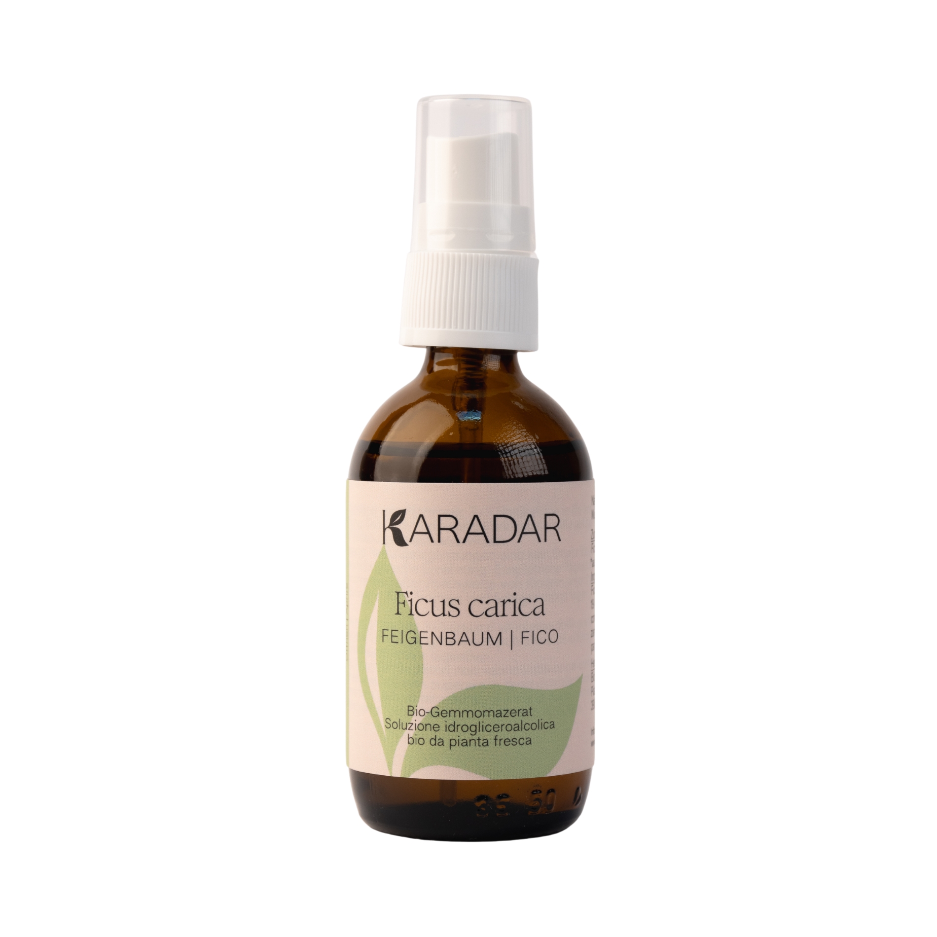 GEMMOMAZERAT FEIGENBAUM - FICUS CARICA BIO