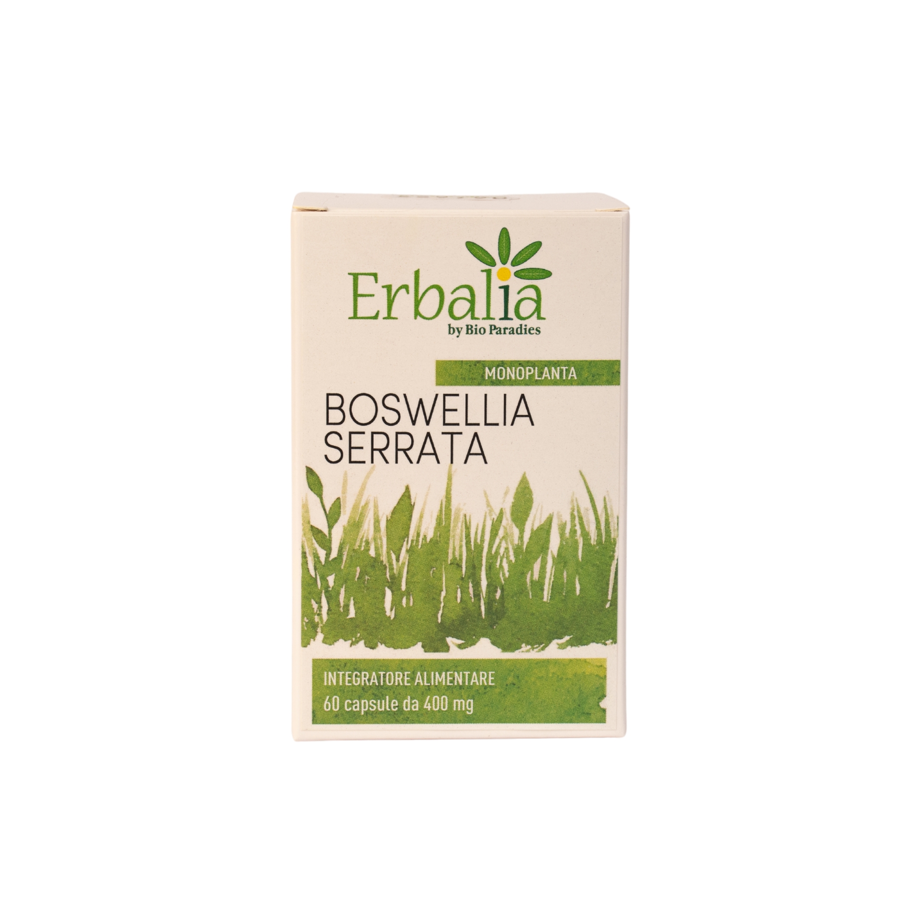 BOSWELLIA SERRATA KAPSELN – (WEIHRAUCHEXTRAKT) 60 KAPSELN - ERBALIA