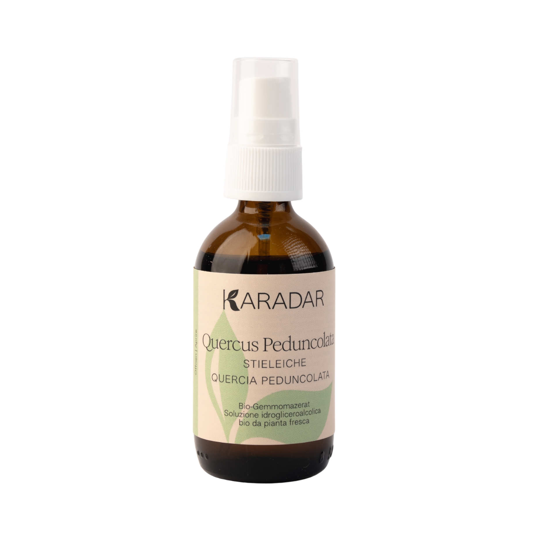 GEMMOMAZERAT STIELEICHE - QUERCUS PEDUNCOLATA  BIO