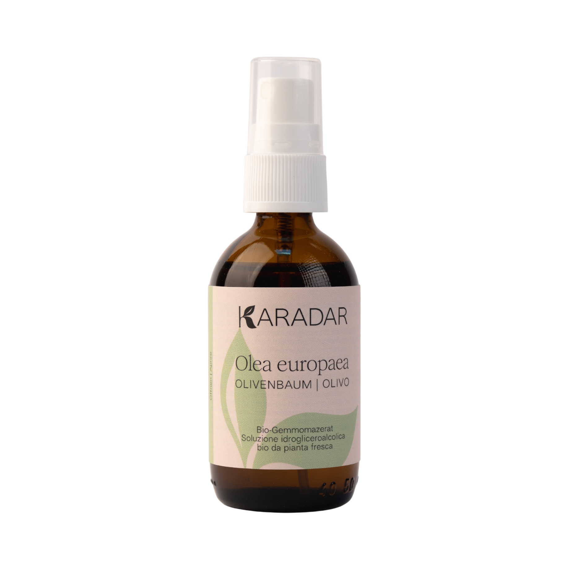 GEMMOMAZERAT OLIVENBAUM - OLEA EUROPEA BIO