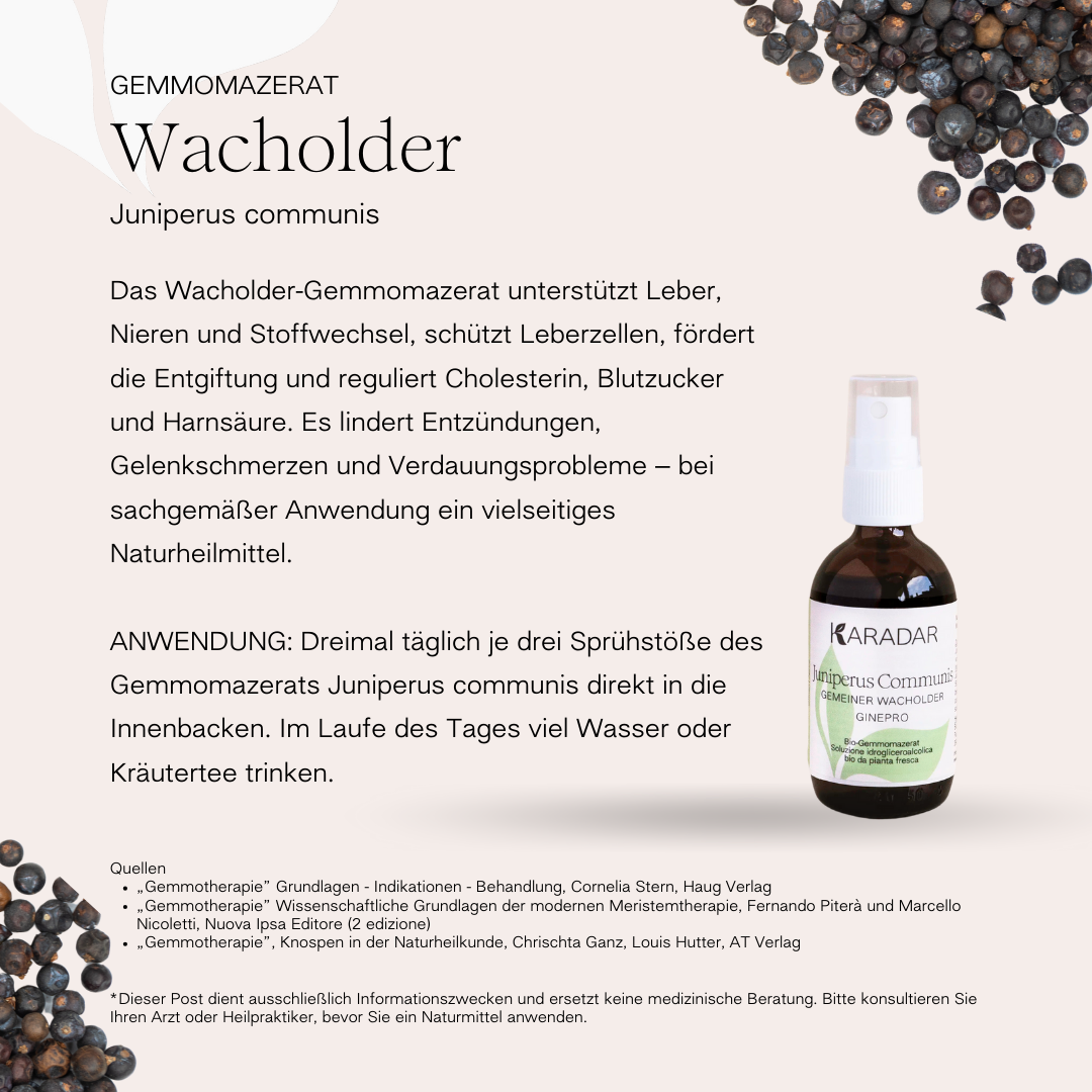GEMMOMAZERAT  GEMEINER WACHOLDER - JUNIPERUS COMMUNIS  BIO
