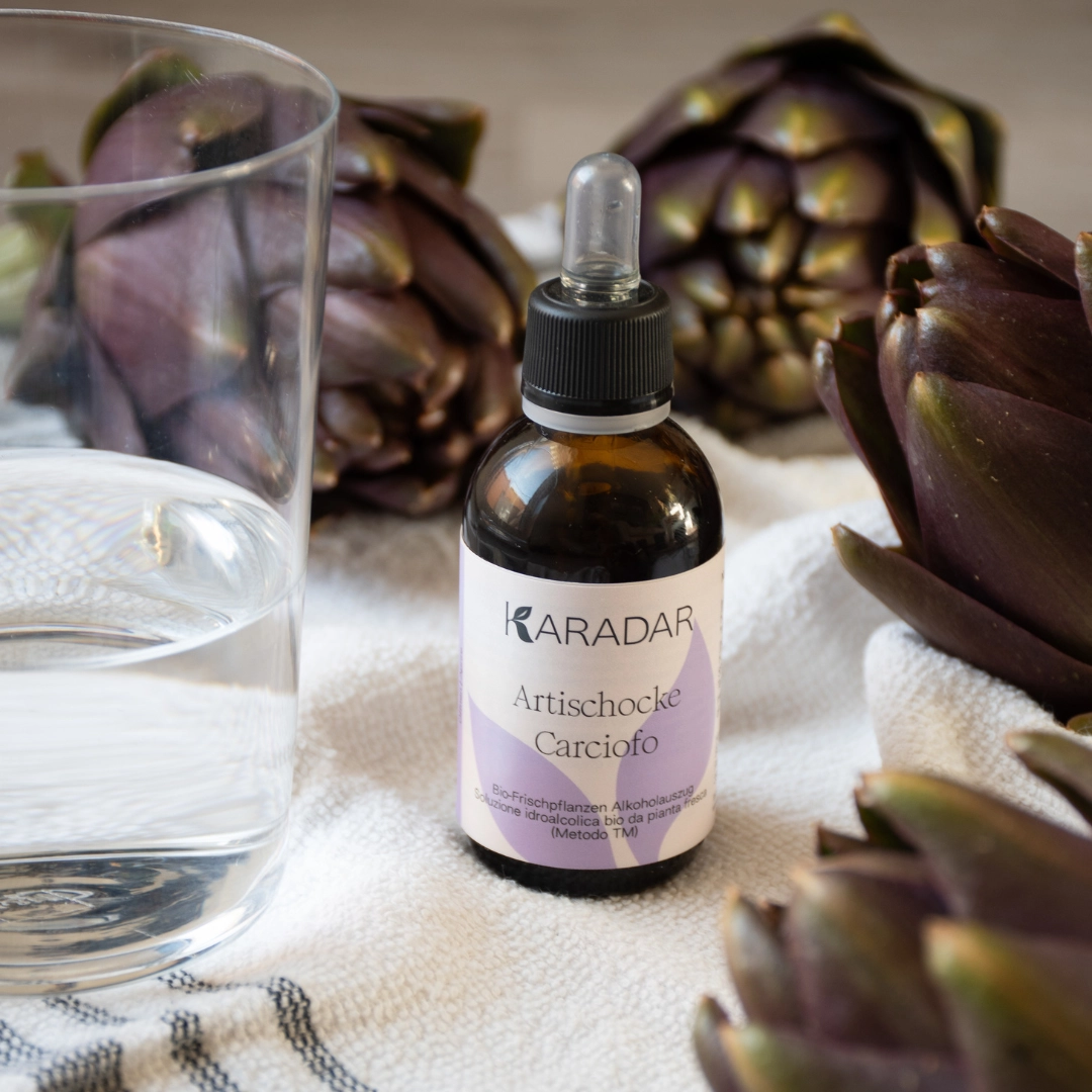 PFLANZENTINKTUR, ARTISCHOCKE, BIO