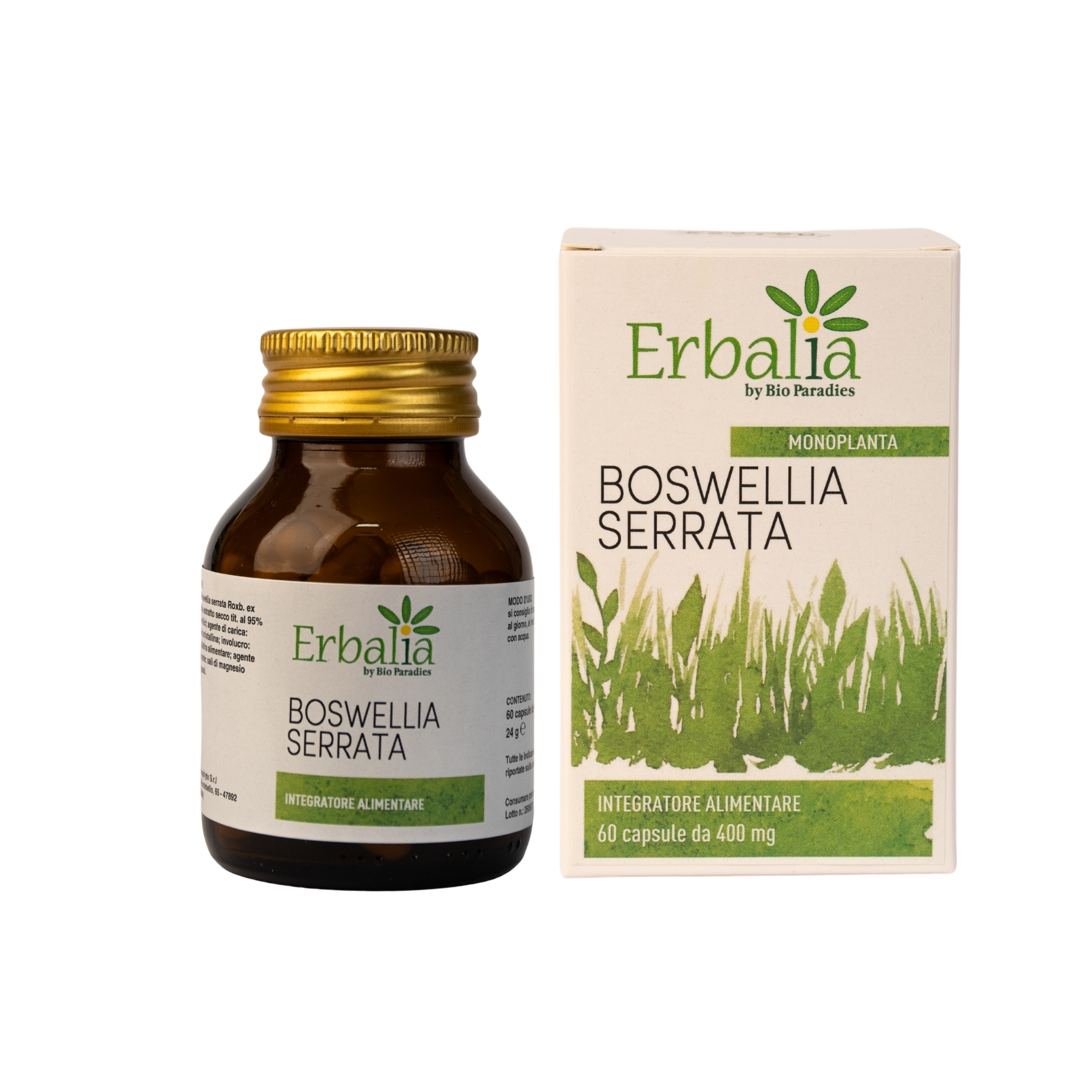 BOSWELLIA SERRATA KAPSELN – (WEIHRAUCHEXTRAKT) 60 KAPSELN - ERBALIA