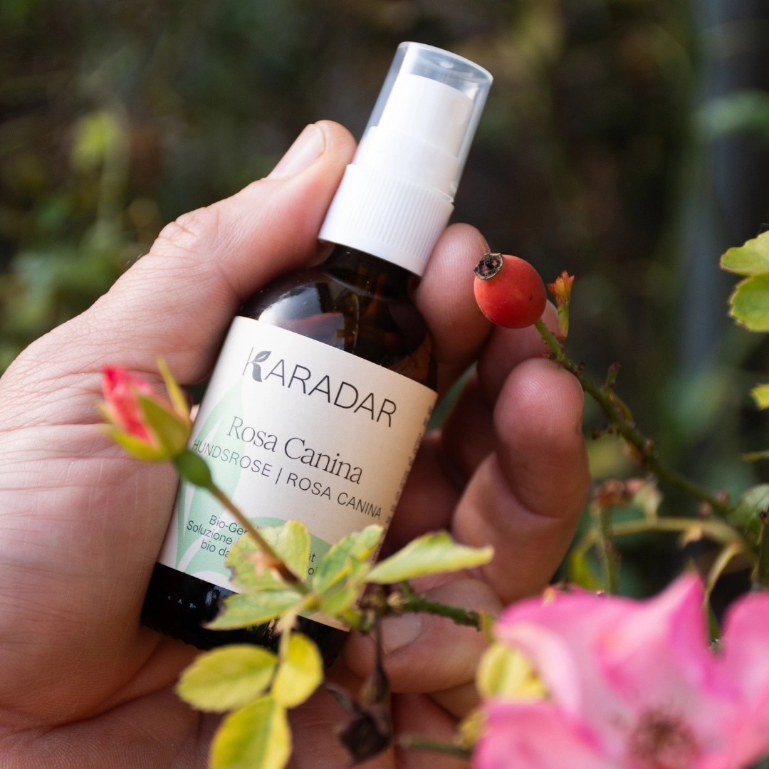 GEMMOMAZERAT HUNDSROSE  - ROSA CANINA BIO