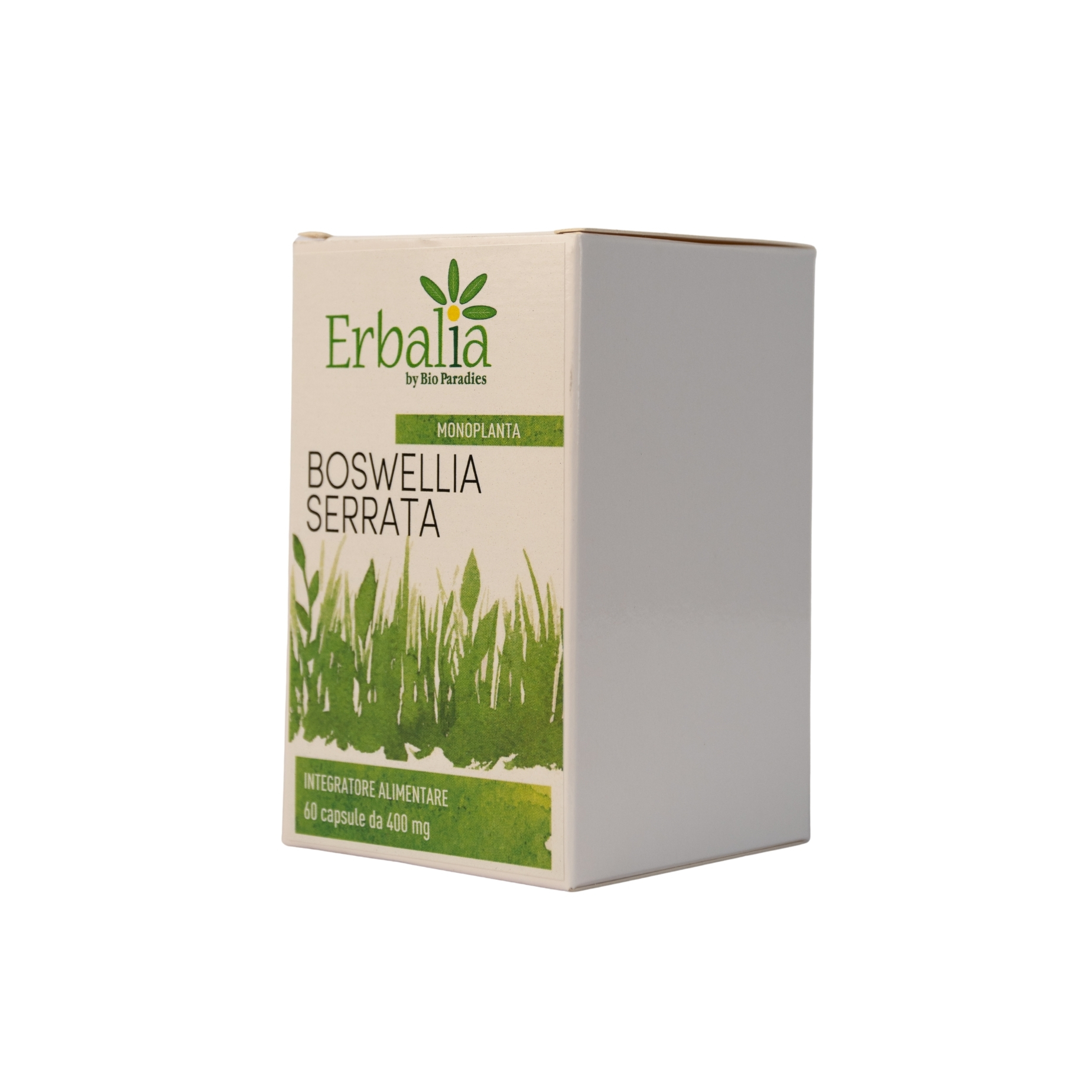 BOSWELLIA SERRATA KAPSELN – (WEIHRAUCHEXTRAKT) 60 KAPSELN - ERBALIA