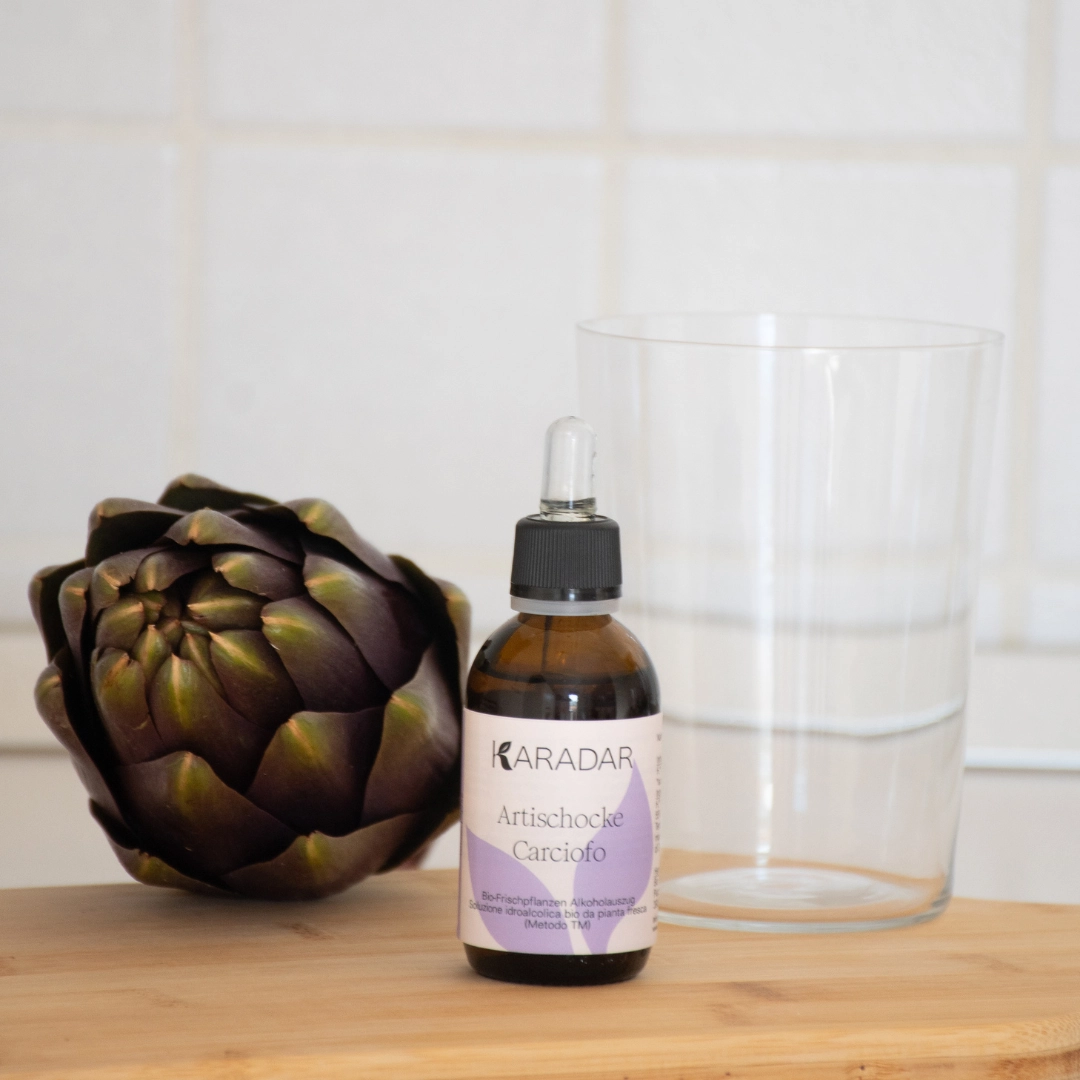 PFLANZENTINKTUR, ARTISCHOCKE, BIO