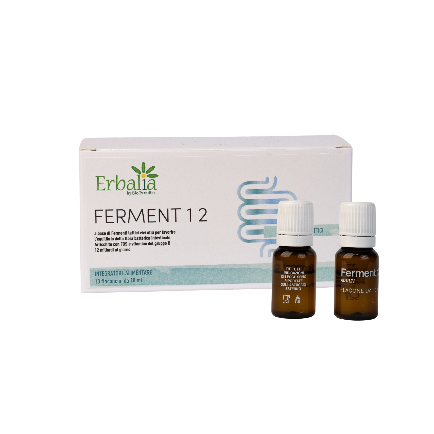 FERMENT 12 – PROBIOTISCHE UND PRÄBIOTISCHE WIRKUNG FÜR DAS GLEICHGEWICHT DER DARMFLORA