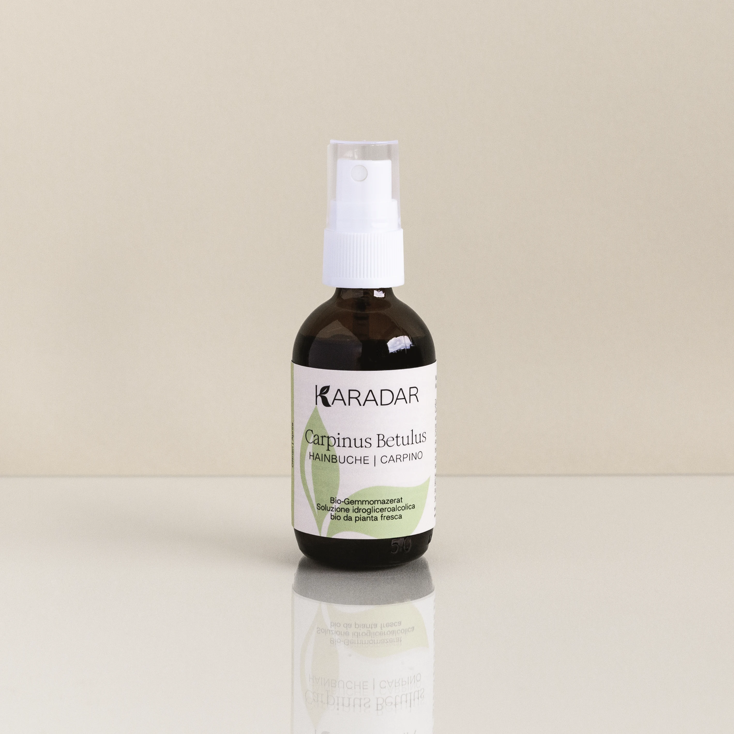 GEMMOMAZERAT HAINBUCHE - CARPINUS BETULUS BIO