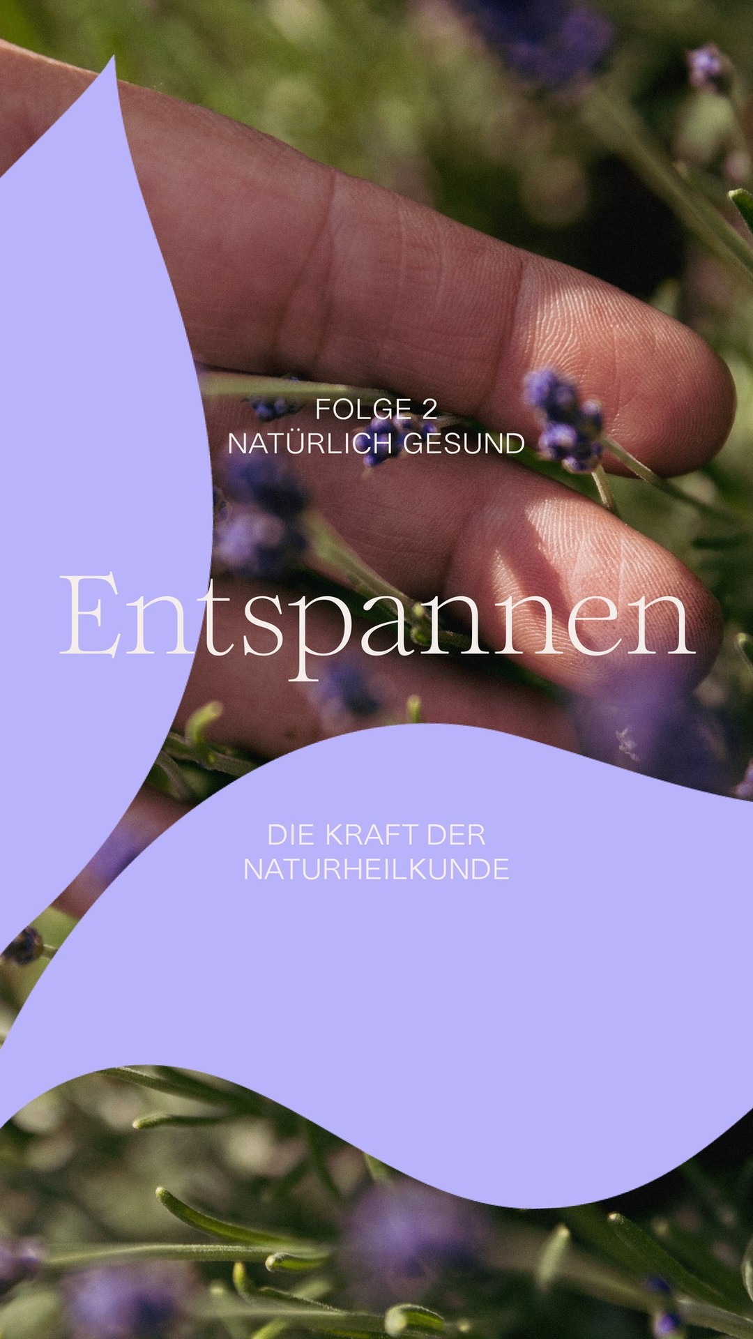 Karadar ᐅ Natürliche Produkte für bewusste Wohlfühl-Momente