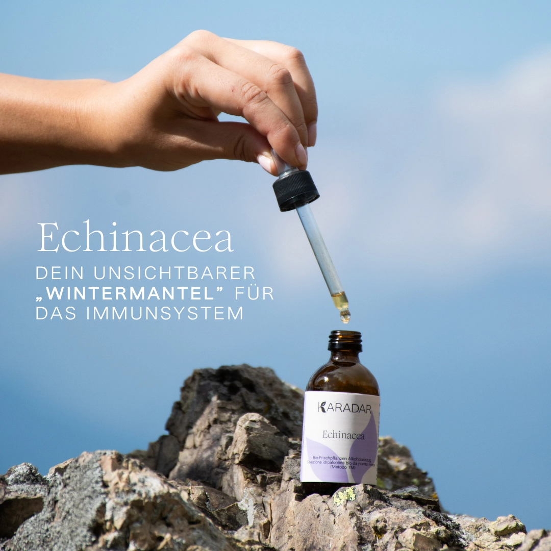 PFLANZENTINKTUR, ECHINACEA, BIO