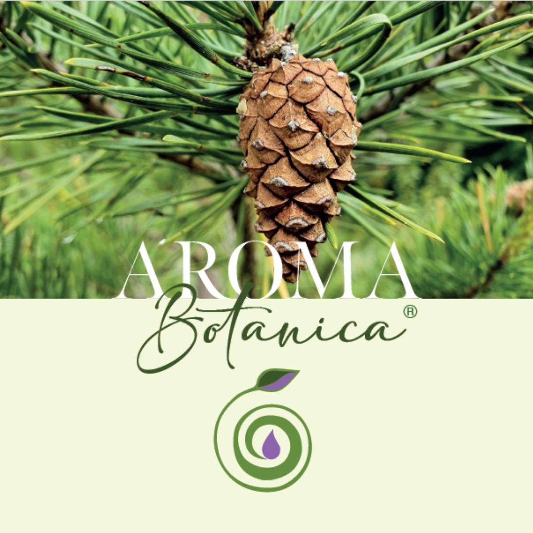 Aroma Botanica Kongress 2024