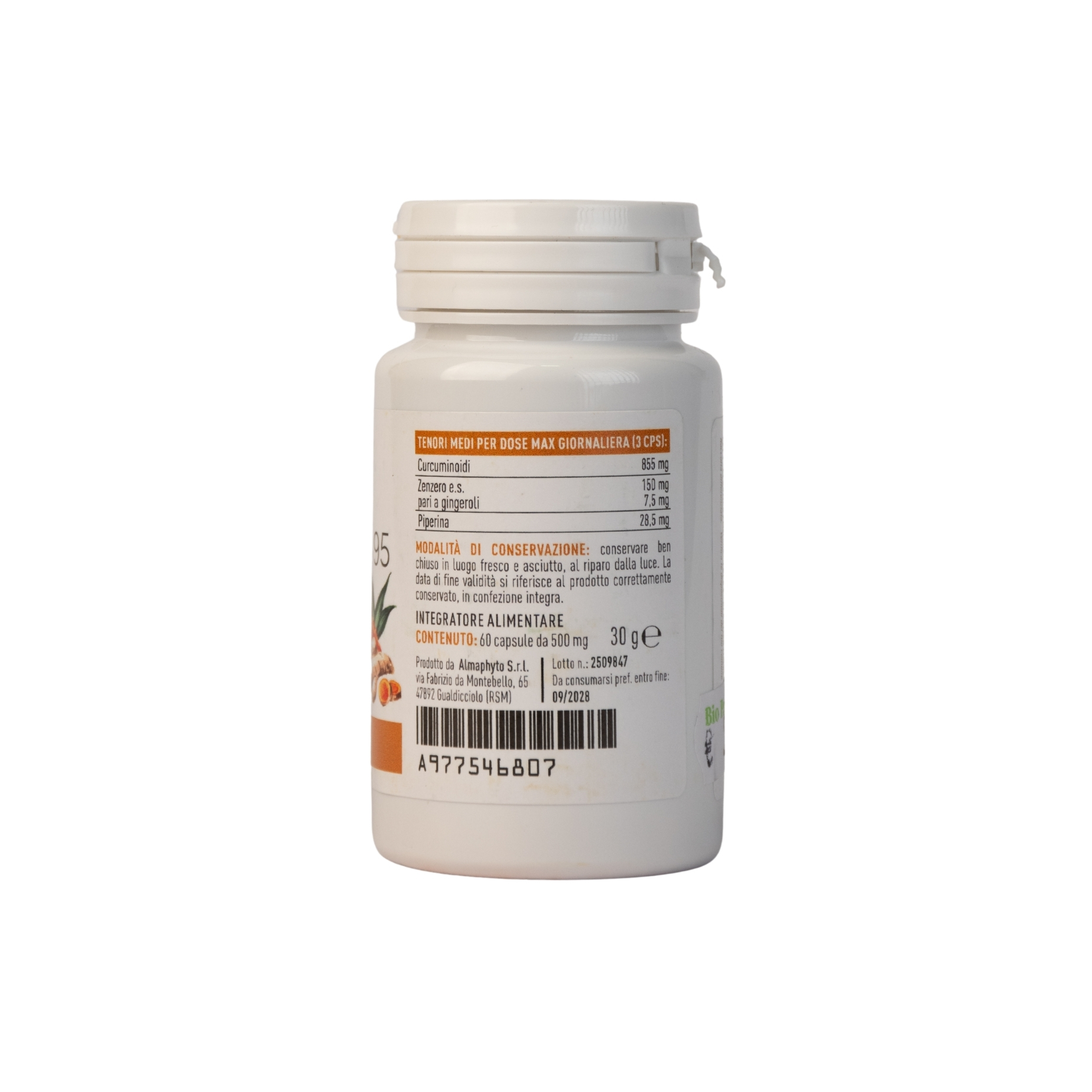 CURCUMA FORTE PLUS 60 TABLETTEN – ERBALIA