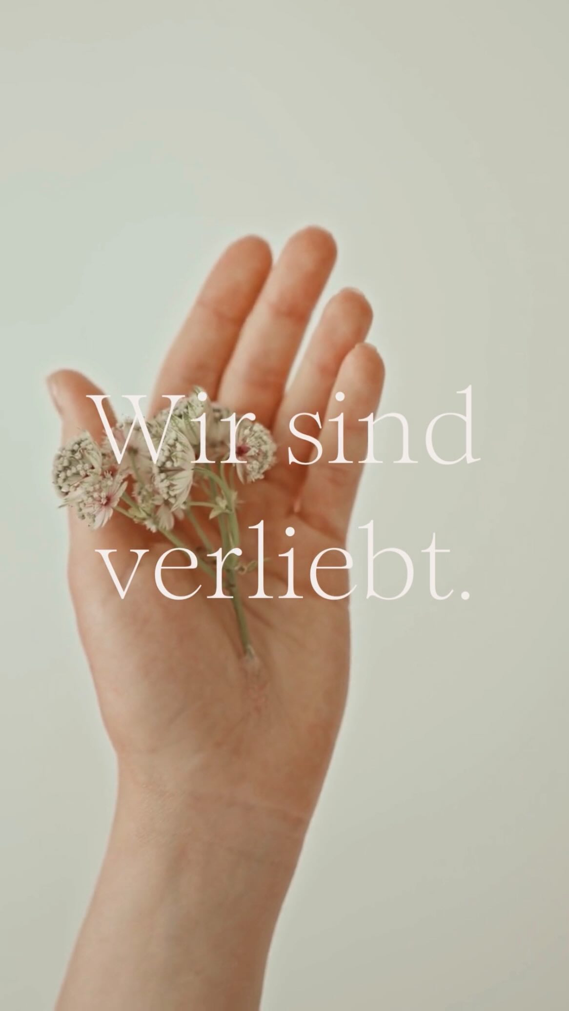Karadar ᐅ Natürliche Produkte für bewusste Wohlfühl-Momente